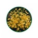 Mahonia Toz Ekstresi