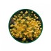 Mahonia Toz Ekstresi