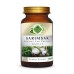 Sarımsak Toz Ekstresi 70 gr. Cam Kavanoz
