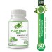 Sinirliot KDT (Plantago HVH) Kapsül