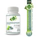Sülforafan Brokoli  (Sulforaphane Broccoli) Kapsül