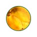 Vitamin D3 (100.000 IU)